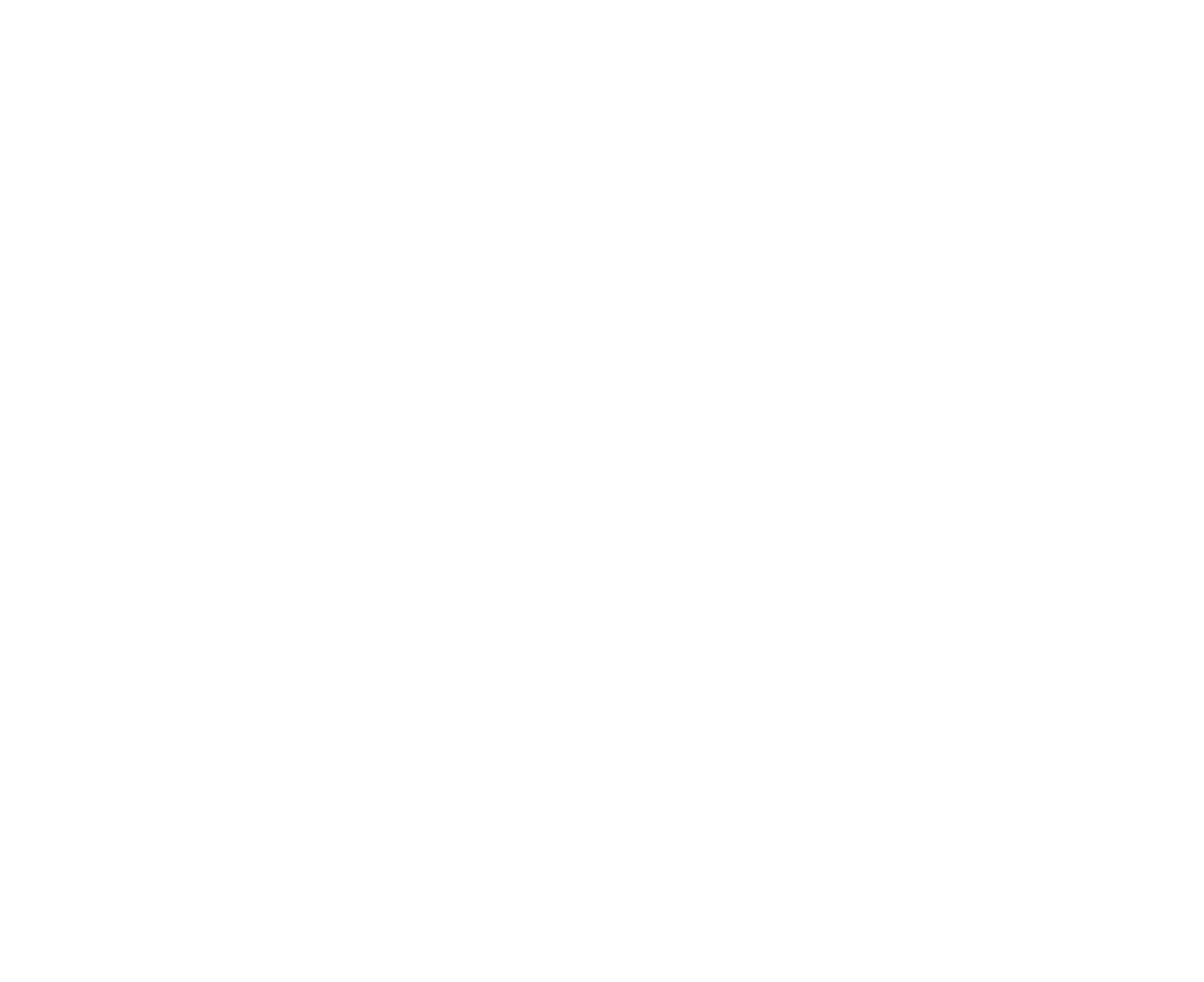Pioneer Development